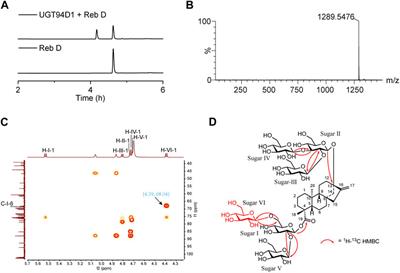 Selective synthesis of rebaudioside M2 through structure-guided engineering of glycosyltransferase UGT94D1